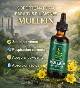 EXTRACTO DE MULLEIN