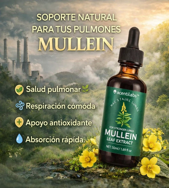 EXTRACTO DE MULLEIN